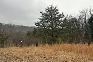 986 Rushing River Rd, Augusta, WV 26704 - Photo 34