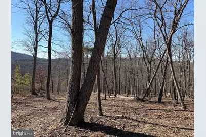 Goldsborough Road, Springfield, WV 26763 - Photo 12