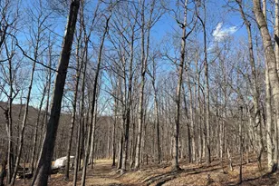 Goldsborough Rd, Springfield, WV 26763 - Photo 1