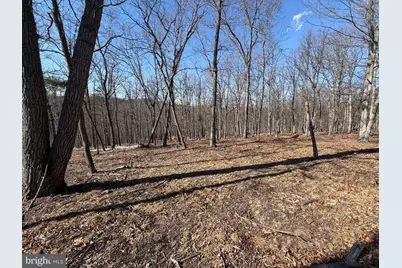 Goldsborough Road, Springfield, WV 26763 - Photo 14