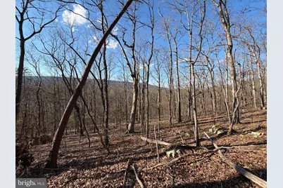 21-C Lake Ferndale, Springfield, WV 26763 - Photo 20