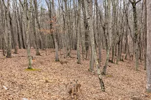 2368 Crossings View Rd, Paw Paw, WV 25434 - Photo 76