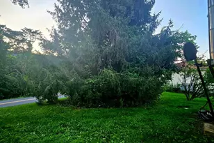 451 Harmison Ln, Romney, WV 26757 - Photo 58