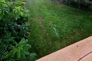 451 Harmison Ln, Romney, WV 26757 - Photo 48