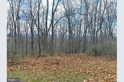 Lot 13-A Beam Rd., Romney, WV 26757 - Photo 12