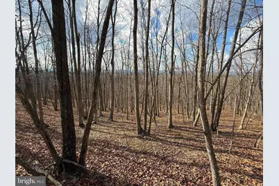 Lot 13-A Beam Rd., Romney, WV 26757 - Photo 6