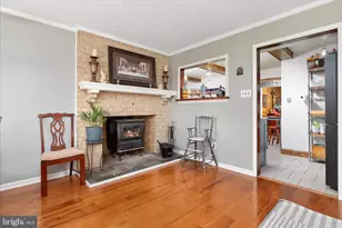 515 Old Fire Tower Rd, Capon Bridge, WV 26711 - Photo 24