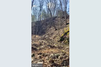 183 Wilson Road, Capon Bridge, WV 26711 - Photo 8