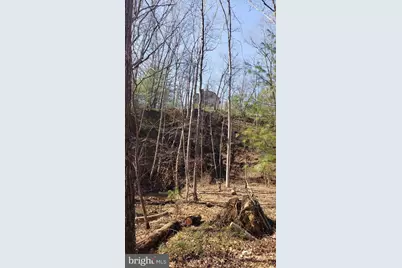 183 Wilson Road, Capon Bridge, WV 26711 - Photo 10