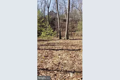 183 Wilson Road, Capon Bridge, WV 26711 - Photo 6