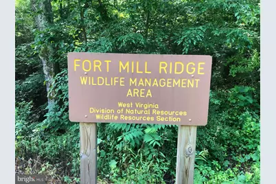 29 Hamilton Estates, Romney, WV 26757 - Photo 76