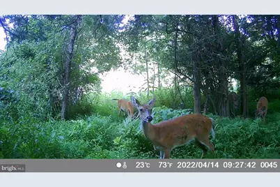 29 Hamilton Estates, Romney, WV 26757 - Photo 46