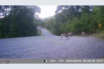 29 Hamilton Estates, Romney, WV 26757 - Photo 48