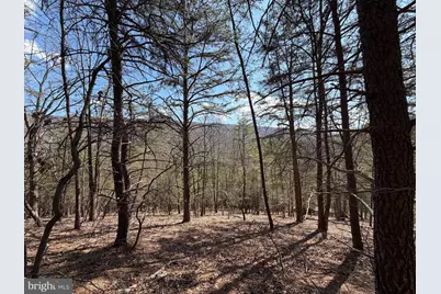 29 Hamilton Estates, Romney, WV 26757 - Photo 14