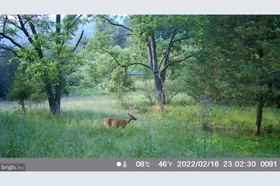29 Hamilton Estates, Romney, WV 26757 - Photo 50