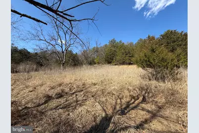 29 Hamilton Estates, Romney, WV 26757 - Photo 26