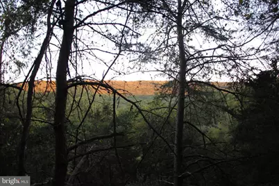 29 Hamilton Estates, Romney, WV 26757 - Photo 24