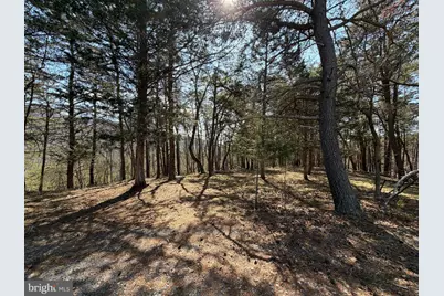 29 Hamilton Estates, Romney, WV 26757 - Photo 36