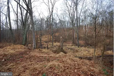 Lot 21 White Mountain Way, Romney, WV 26757 - Photo 26