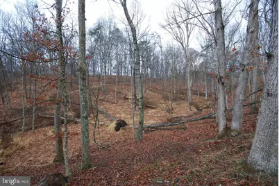 Lot 21 White Mountain Way, Romney, WV 26757 - Photo 12