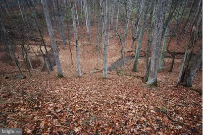 Lot 21 White Mountain Way, Romney, WV 26757 - Photo 4