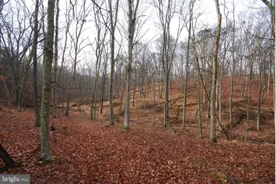 Lot 21 White Mountain Way, Romney, WV 26757 - Photo 14