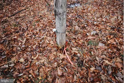 Lot 21 White Mountain Way, Romney, WV 26757 - Photo 16