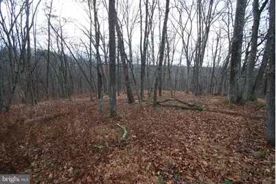 Lot 21 White Mountain Way, Romney, WV 26757 - Photo 20
