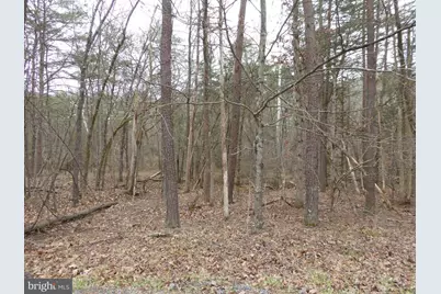 Lot 13 Fawn Drive, Springfield, WV 26763 - Photo 14