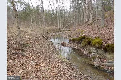 Lot 13 Fawn Drive, Springfield, WV 26763 - Photo 6