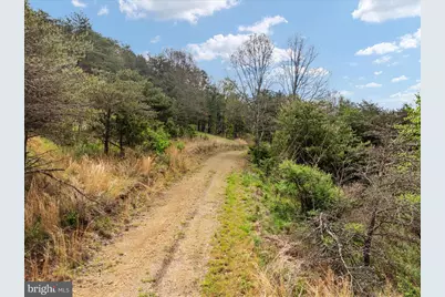 272 Buster Brown Dr., Rio, WV 26755 - Photo 100
