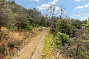 272 Buster Brown Dr, Rio, WV 26755 - Photo 100