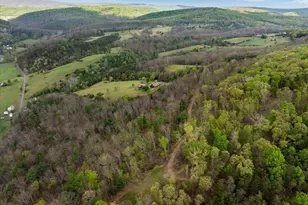 272 Buster Brown Dr, Rio, WV 26755 - Photo 92