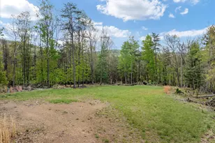 272 Buster Brown Dr, Rio, WV 26755 - Photo 96