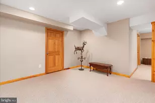272 Buster Brown Dr, Rio, WV 26755 - Photo 48