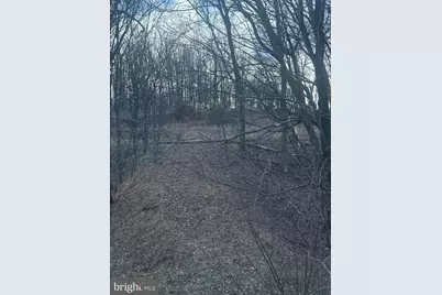 Lost Run, Levels, WV 25431 - Photo 4