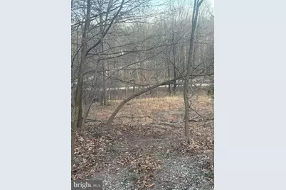 Lost Run, Levels, WV 25431 - Photo 6