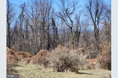 8182 Skyview Dr., Romney, WV 26757 - Photo 46