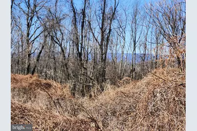 8182 Skyview Dr., Romney, WV 26757 - Photo 54