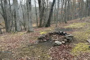 81 Hershel Ln, High View, WV 26808 - Photo 24