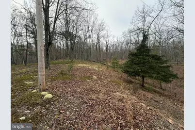 81 Hershel Lane, High View, WV 26808 - Photo 22
