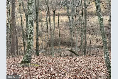 81 Hershel Lane, High View, WV 26808 - Photo 26