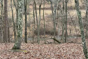 81 Hershel Ln, High View, WV 26808 - Photo 26