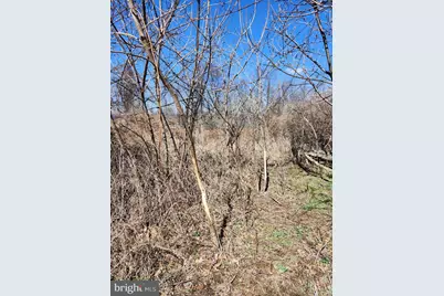 Skyview Dr., Romney, WV 26757 - Photo 26