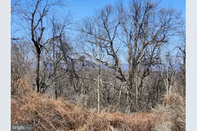 Skyview Dr., Romney, WV 26757 - Photo 24