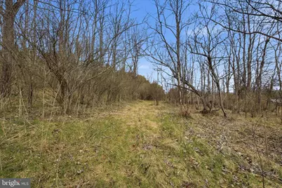 Aa Rogers, Augusta, WV 26704 - Photo 30