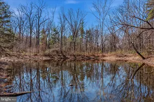 580 Braeburn Dr, Augusta, WV 26704 - Photo 54