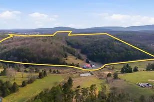 1054 Fleming Rd, Purgitsville, WV 26852 - Photo 56