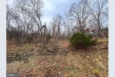 2932 Kerns School Road, Springfield, WV 26763 - Photo 34