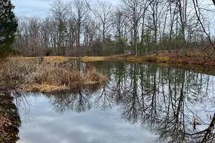 2932 Kerns School Rd, Springfield, WV 26763 - Photo 50